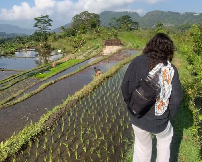 Picture 6 for Activity Sidemen: Countryside Scooter Tour through Rice Terraces 3