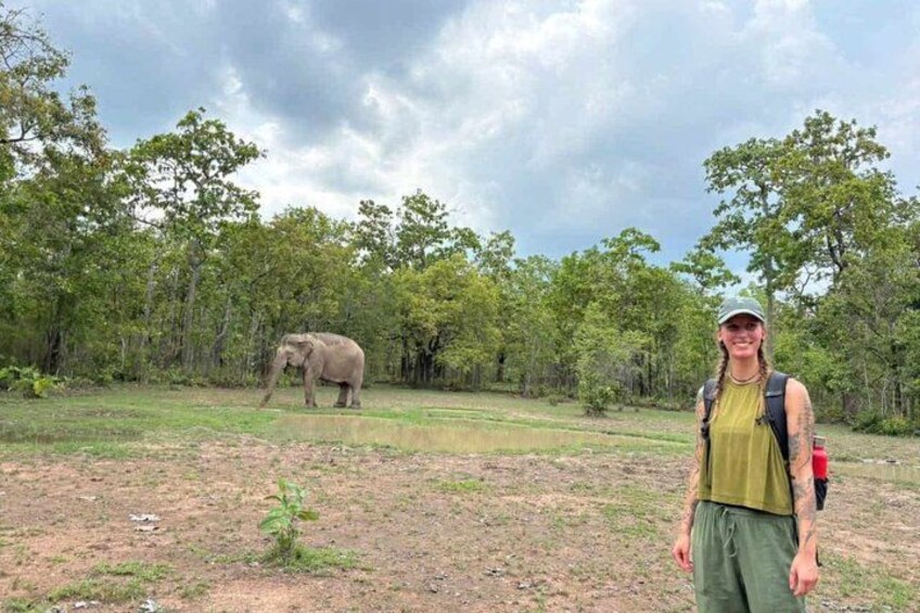 A person standing in a grassy field with trees in the background and an elephant in the distance. 1