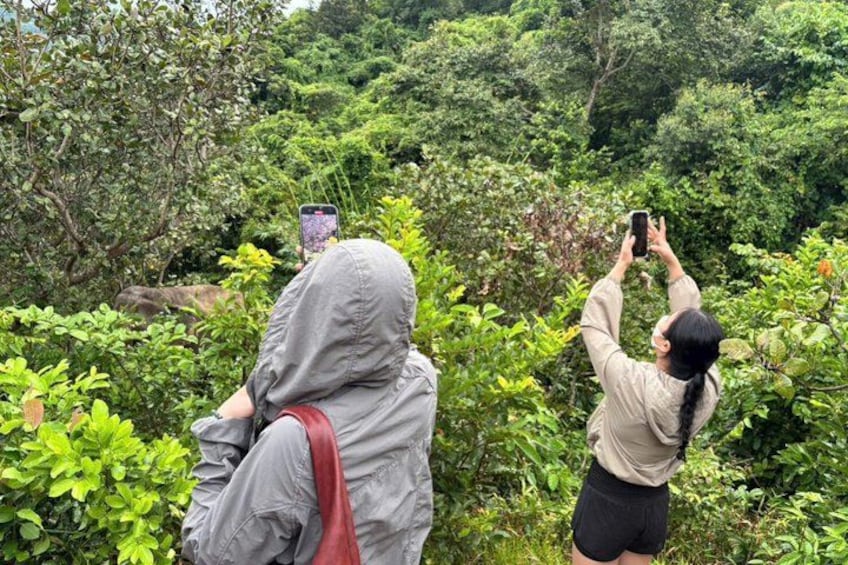 Two people taking photos in a lush, green forested area. 2