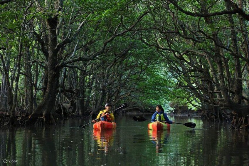 Experience The Jakarta Canoeing Mangrove 2