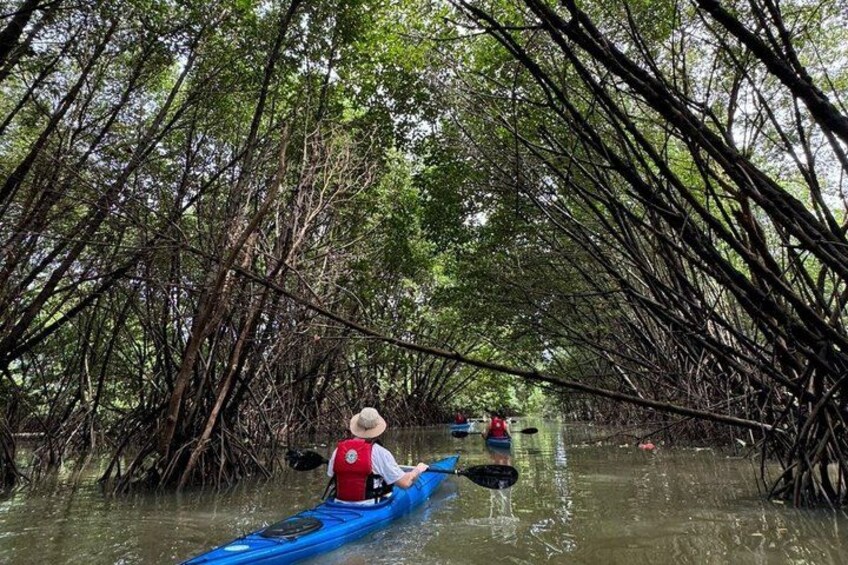 Experience The Jakarta Canoeing Mangrove 3