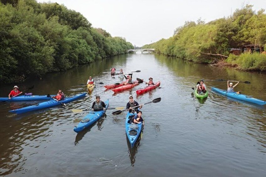 Experience The Jakarta Canoeing Mangrove 5