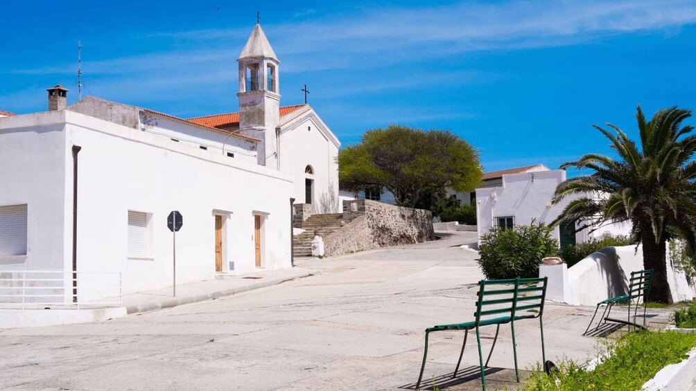 A white church with a bell tower, a palm tree, and a bench on a sunny street. 4