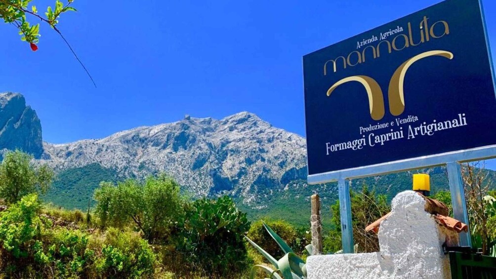 A sign with 'mammalia' and 'Formaggio Caprini Artigianali' against a mountainous backdrop. 3
