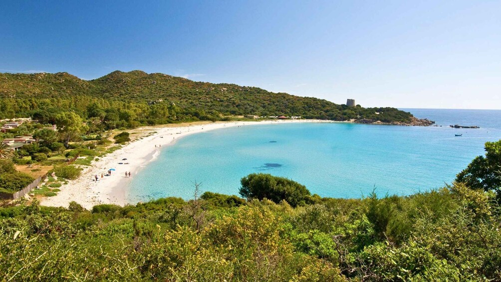 Paesaggio costiero con spiaggia sabbiosa, acque blu cristalline e una collina ricoperta di vegetazione lussureggiante. 4
