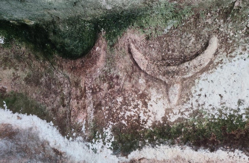 A close-up of a weathered stone surface with moss growth and carved figures. 2