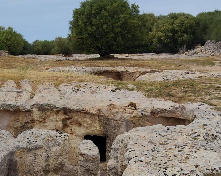 A rocky landscape with a cave entrance. 4
