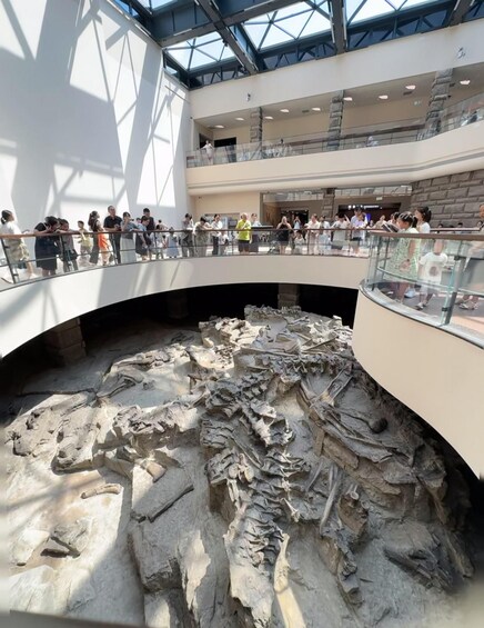 A museum interior with a large fossil display and a crowd of visitors. 3