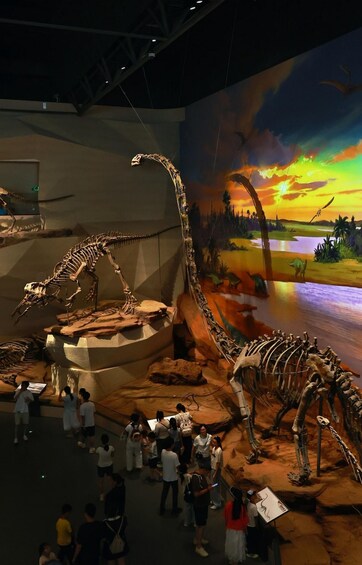 A dinosaur skeleton exhibit with visitors observing. 2