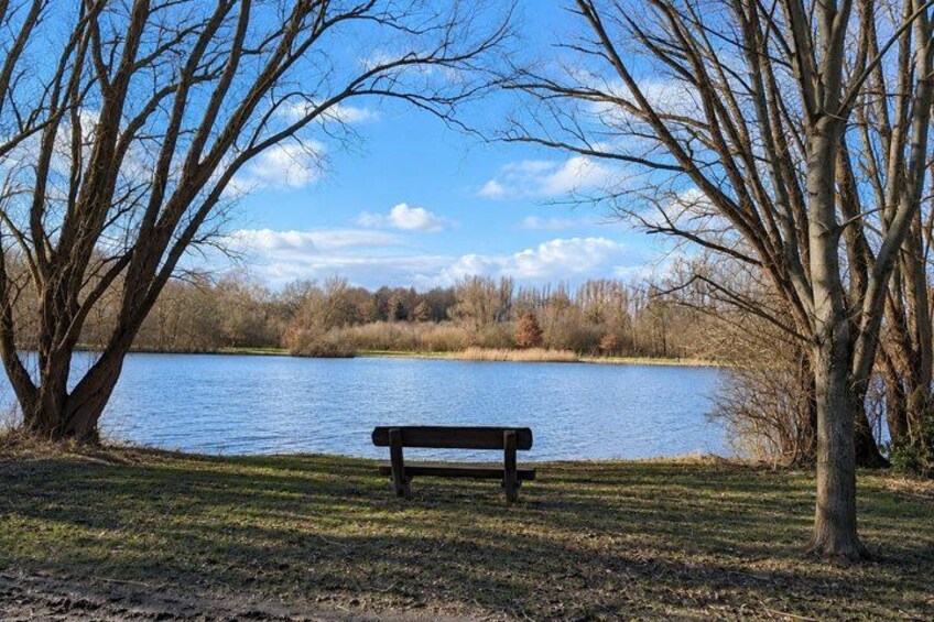 A bench by a lake with trees and a clear sky. 2