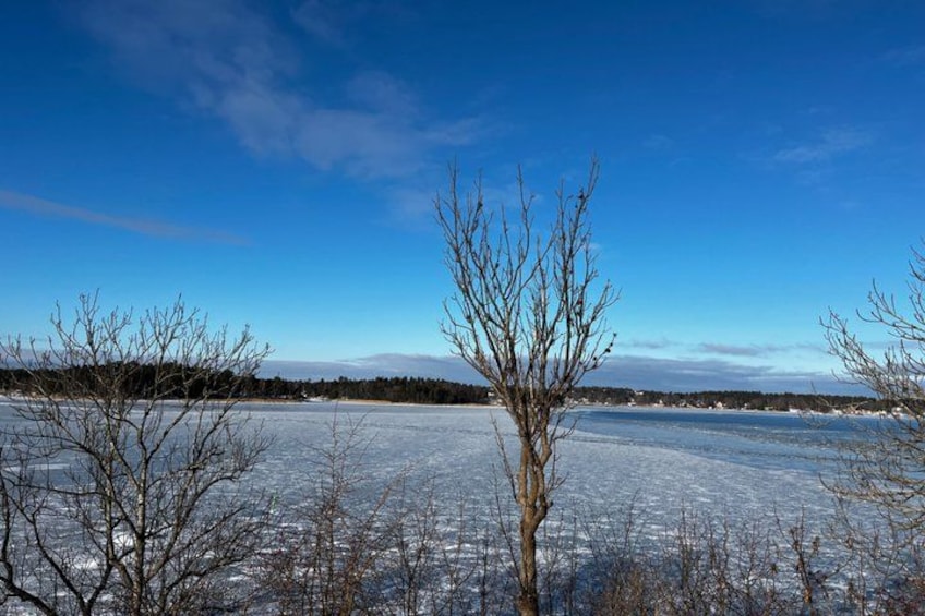 A frozen lake with leafless trees in the foreground and a clear blue sky. 5