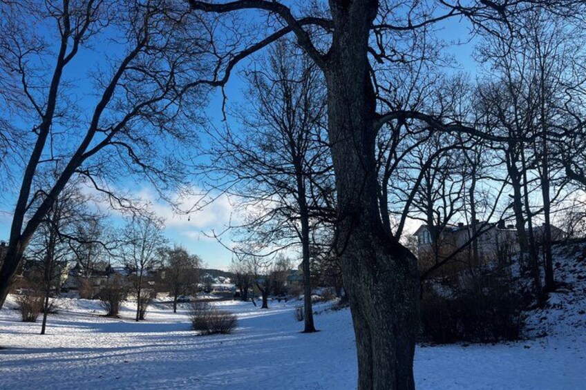 A snow-covered landscape with leafless trees and a clear blue sky. 2