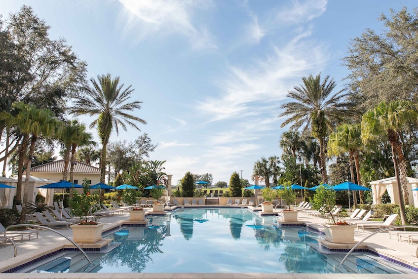 A pool with lounge chairs and umbrellas, surrounded by palm trees and a clear sky. 3