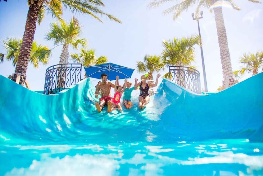 A water slide with people sliding down, surrounded by palm trees and a clear blue sky. 1