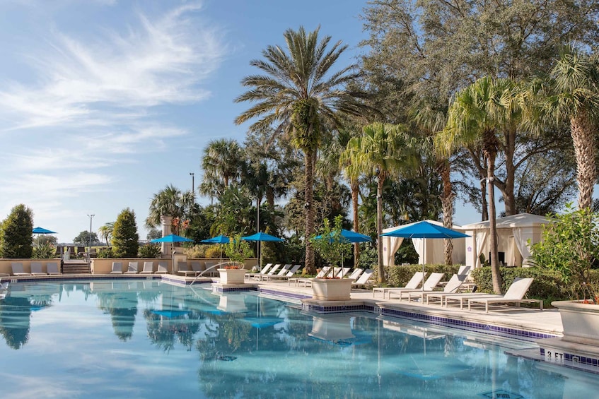 A swimming pool surrounded by palm trees and lounge chairs. 5