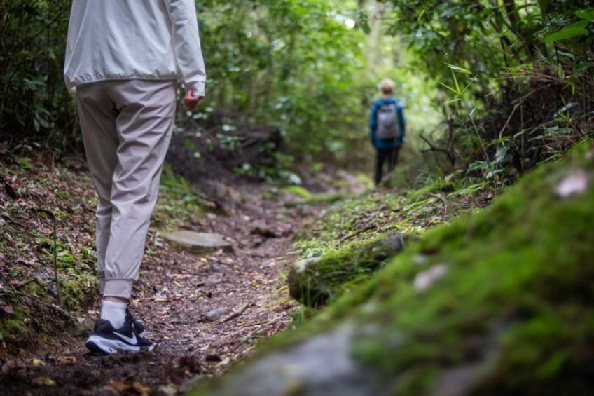 A forest trail with a person walking and another person in the distance. 1