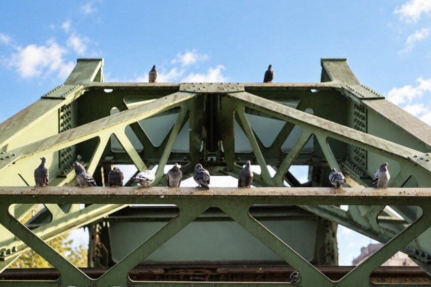 A green metal bridge with birds perched on it. 3