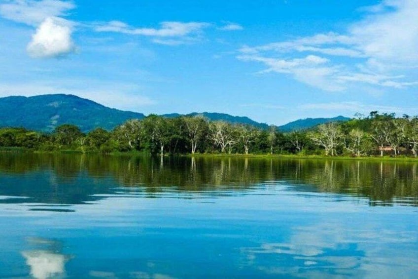 A calm lake with reflections of trees and mountains under a clear sky. 1