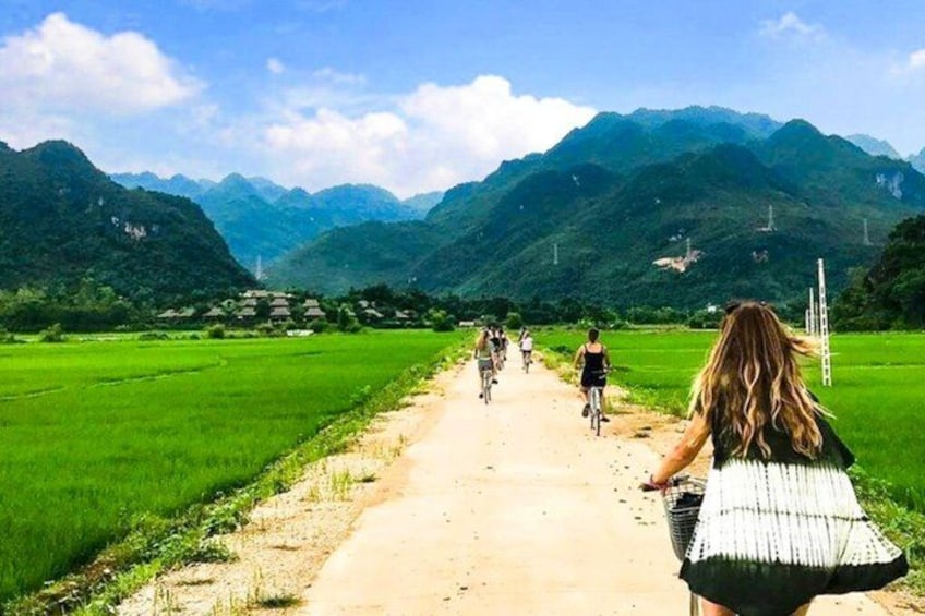 A dirt path with cyclists, green fields, and mountains in the background. 5