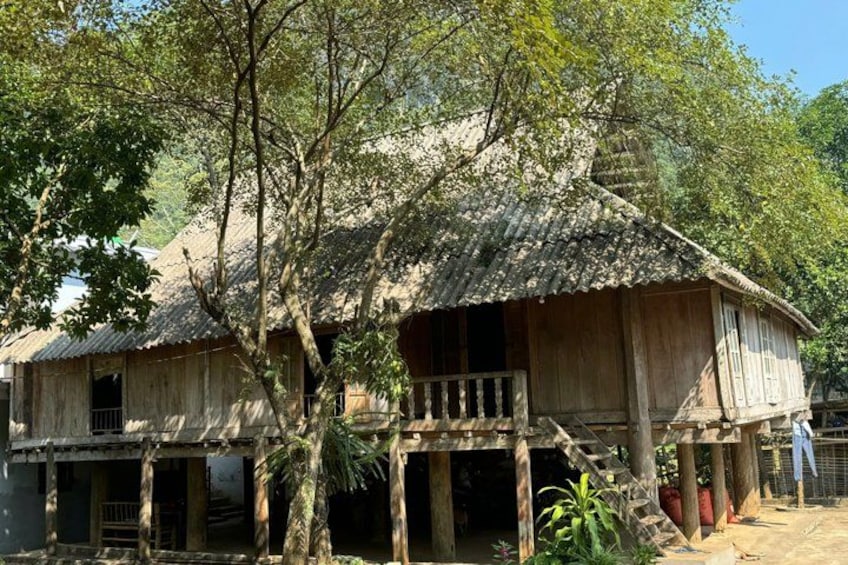 A traditional wooden house with a thatched roof, surrounded by trees and vegetation. 3