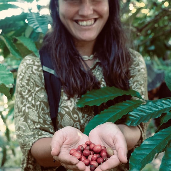 A person holding coffee beans with large green leaves in the background. 4