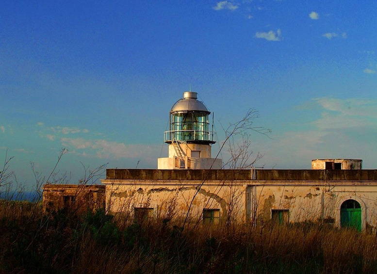 A lighthouse with a glass enclosure, surrounded by overgrown vegetation and a clear sky. 4