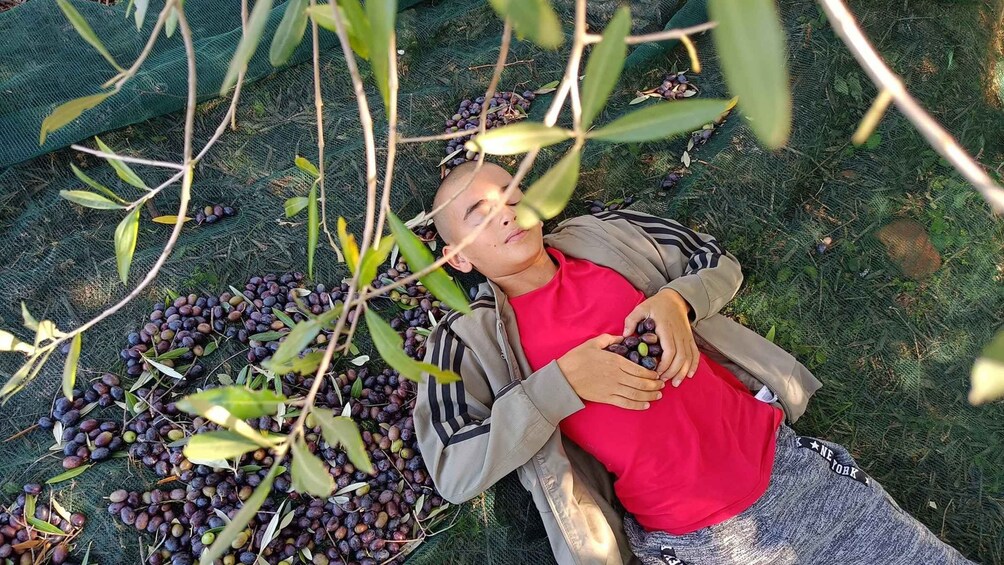 Una persona recostada en el suelo rodeada de ramas y olivos. 5
