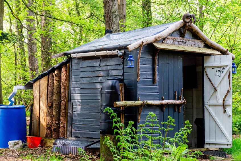 A rustic wooden cabin with a metal roof, surrounded by lush greenery. 3