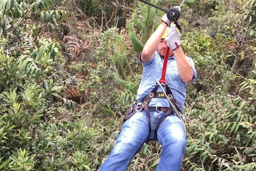 Una persona che vola su una zipline attraverso una zona boschiva. 2