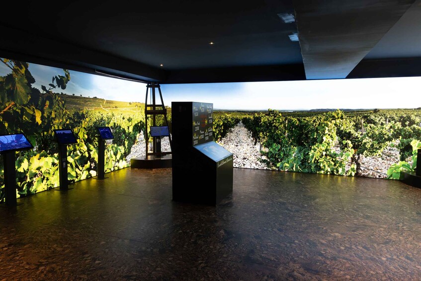 A modern interior with a large window overlooking a vineyard. 3