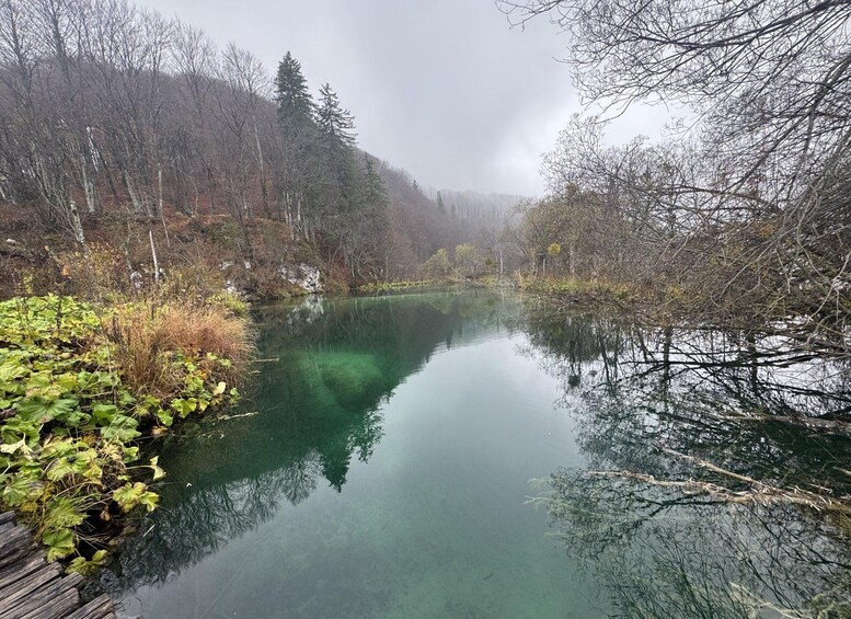 A calm river surrounded by dense forest and a wooden dock. 3