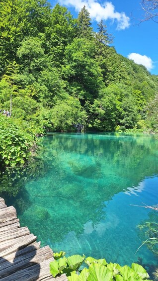 Picture 20 for Activity Plitvice Lakes Day Tour from Zadar with Boat & Train Ride 5