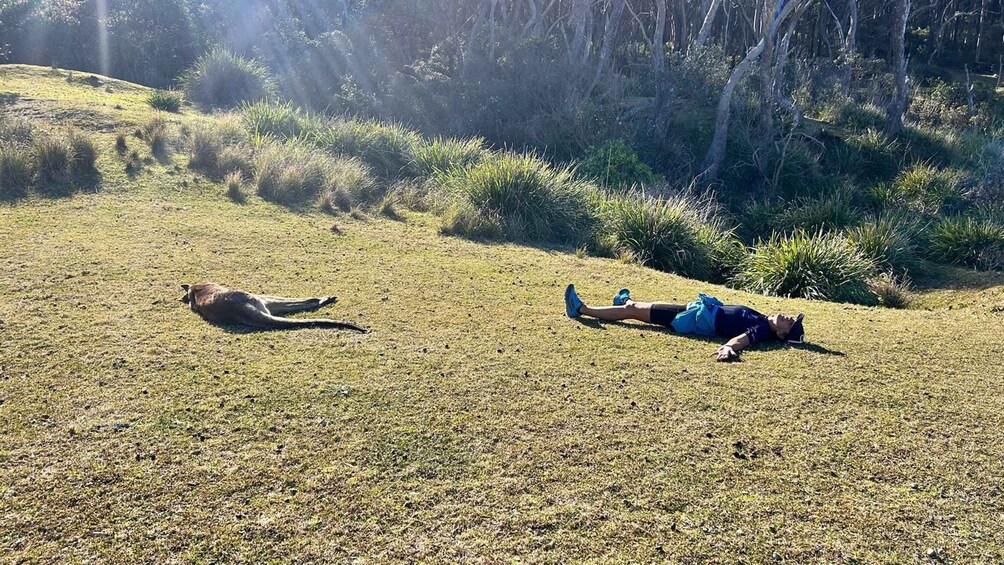 Una persona recostada sobre la hierba en un entorno natural, con árboles y arbustos al fondo. 2