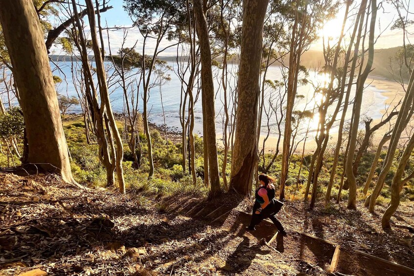 Una persona caminando por un bosque con vista a un cuerpo de agua al fondo. 5