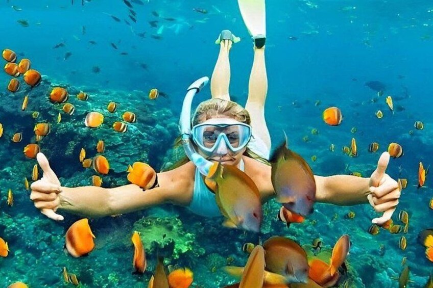 A person snorkeling underwater surrounded by fish. 4