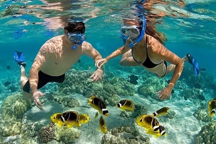 Two people snorkeling underwater with fish around them. 4