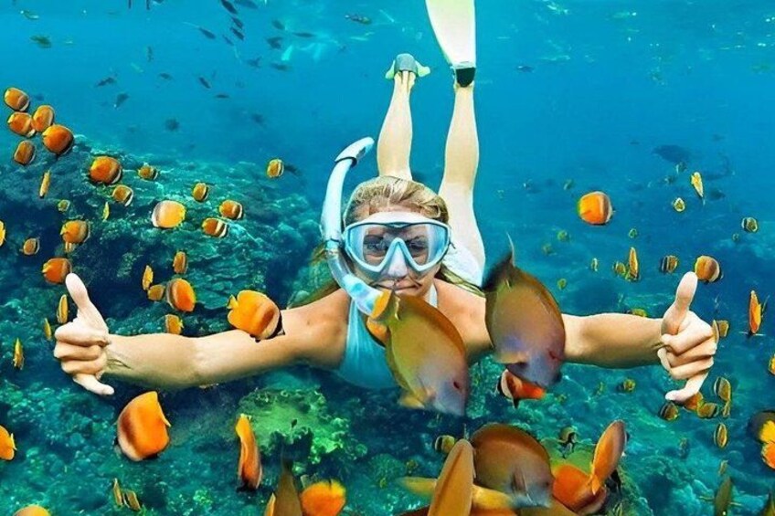 A person snorkeling underwater surrounded by fish. 5