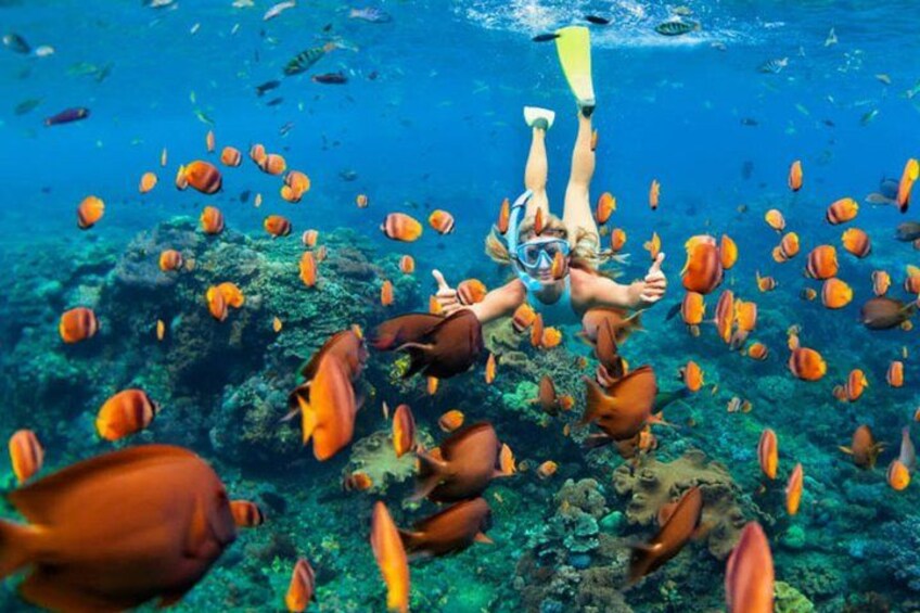 A person snorkeling surrounded by colorful fish. 1