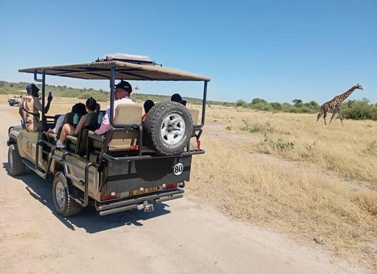 A safari vehicle with passengers, a giraffe in the background, and a clear sky. 2