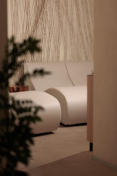 A modern interior with a white sofa and a plant. 2