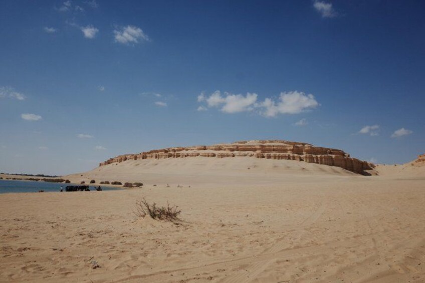 A desert landscape with sand dunes and a clear blue sky. 5