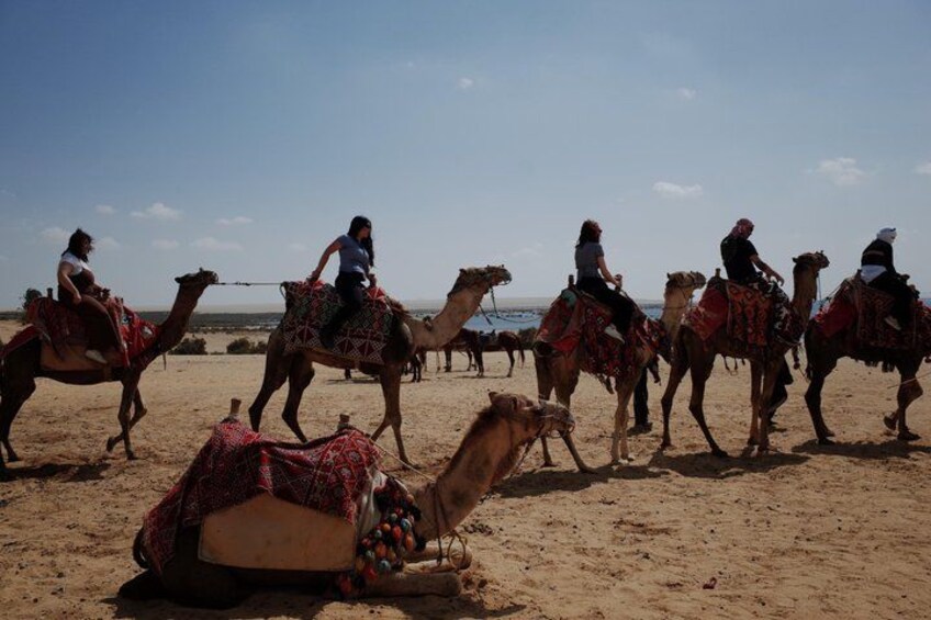 A group of people riding camels on a sandy terrain with a clear sky. 4