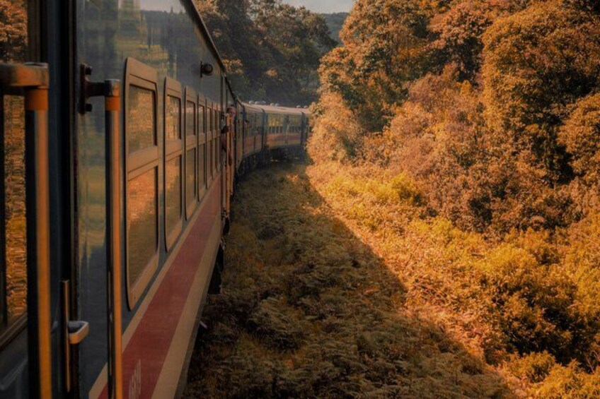 A train traveling through a forested area with autumn foliage. 2
