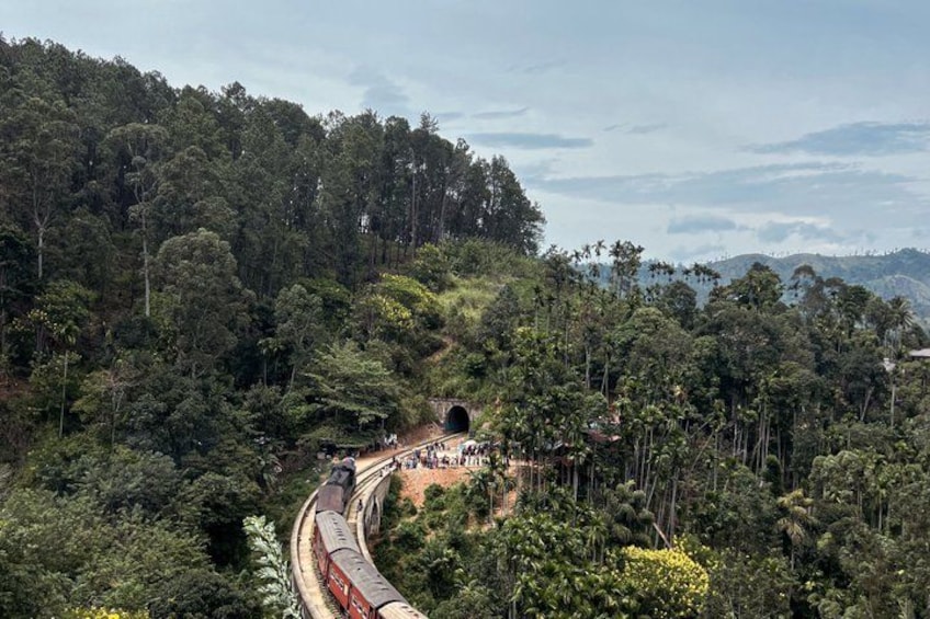 A train winding through a forested landscape with a tunnel entrance. 4