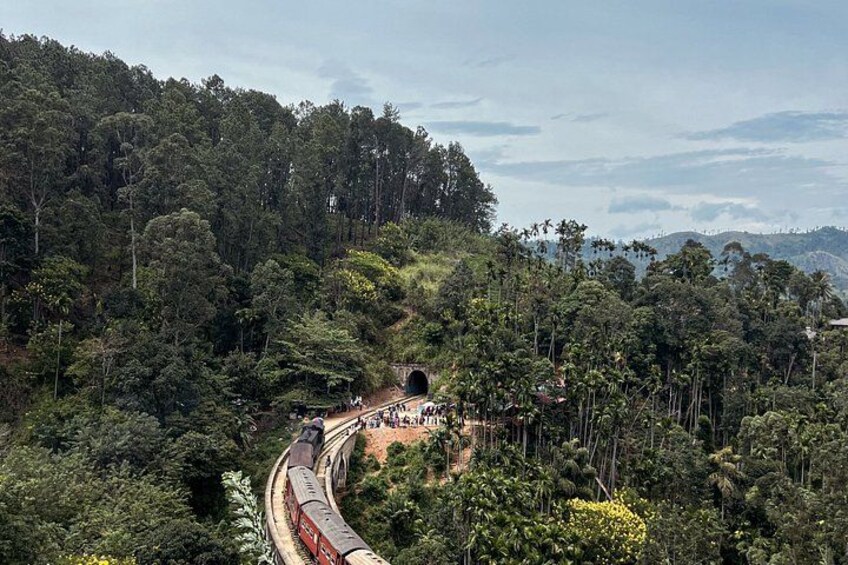 A train winding through a forested area with a tunnel entrance visible. 4