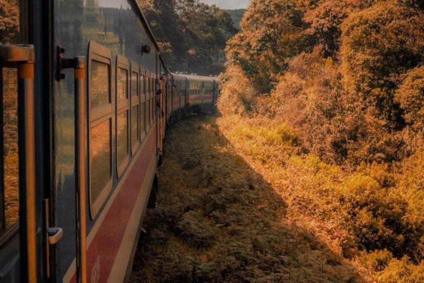 A train traveling through a forested area with autumn foliage. 3