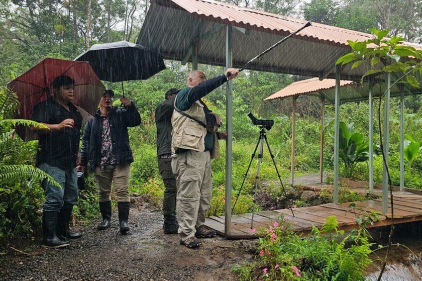 A group of people standing under a shelter in a forested area with a camera on a tripod. 2