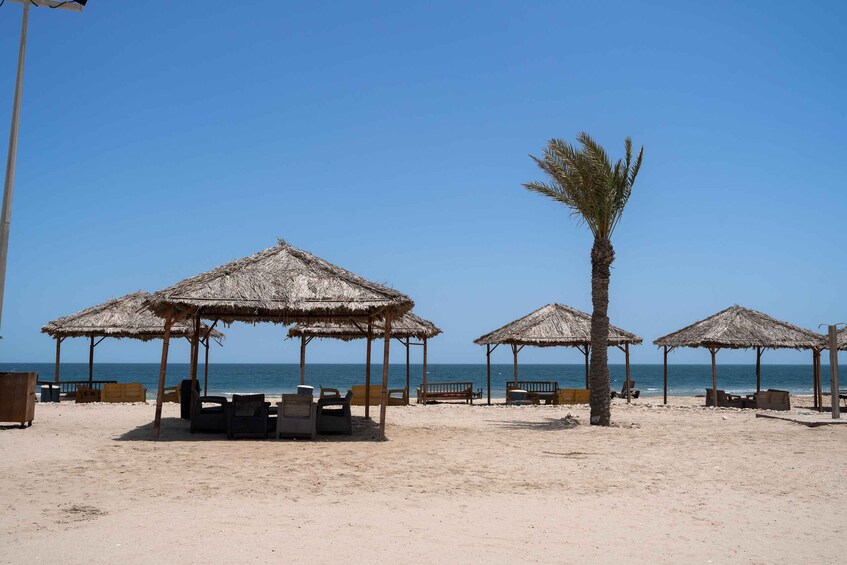 Picture 22 for Activity Doha: Full day Overnight & Day pass in Pvt Desert Beach Camp 4