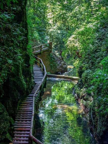 A wooden bridge over a calm river surrounded by lush greenery. 5