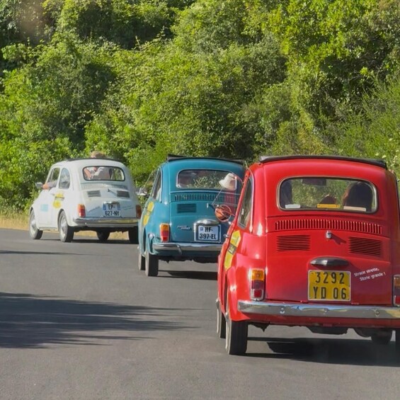 Vintage cars on a road with lush greenery in the background. 3